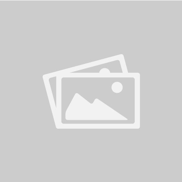 College Letter Socks 7-Pack